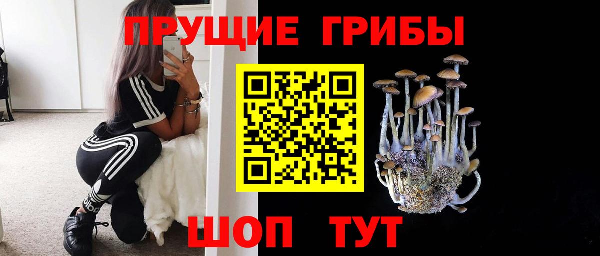 Галлюциногенные грибы Cubensis Гусев
